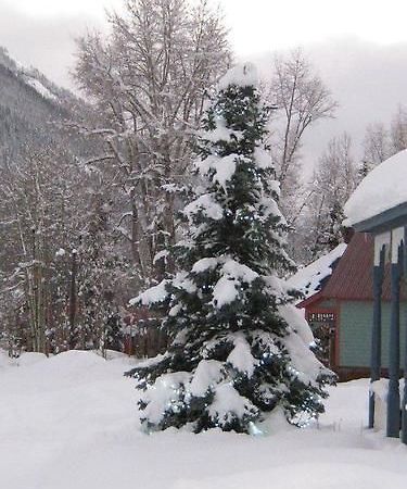 Blair Street Hostel Telluride Εξωτερικό φωτογραφία