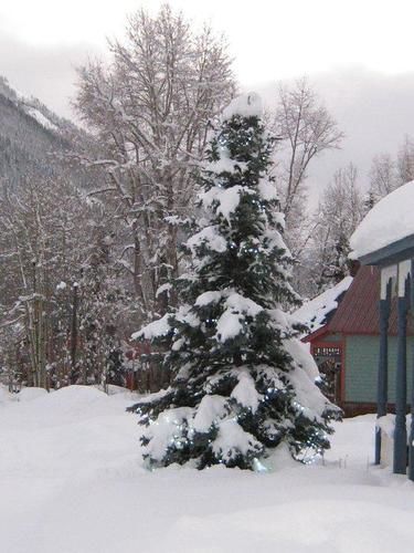 Blair Street Hostel Telluride Εξωτερικό φωτογραφία